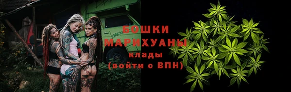 гашик Медногорск