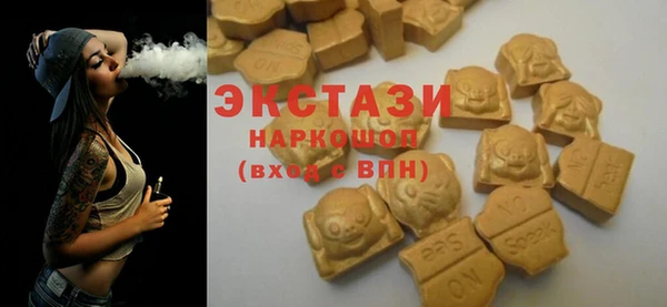 гашик Медногорск