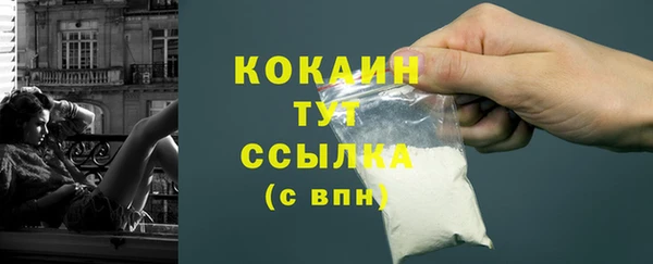 гашик Медногорск