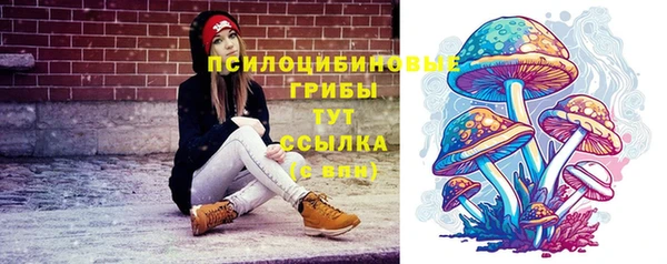 гашик Медногорск