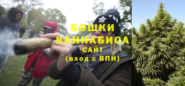 гашик Медногорск