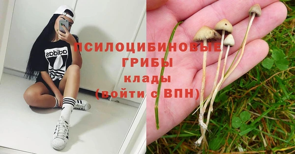 гашик Медногорск