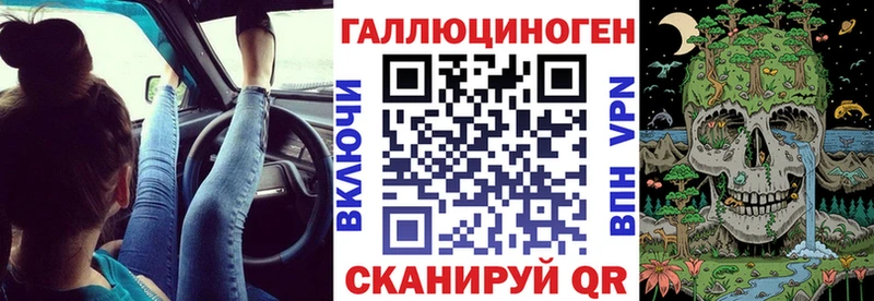 omg   Сухиничи  Псилоцибиновые грибы MAGIC MUSHROOMS 